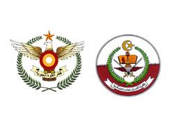 QATAR EMIRI AIR FORCE QATAR ARMED FORCES Qatar | Adax Business Systems