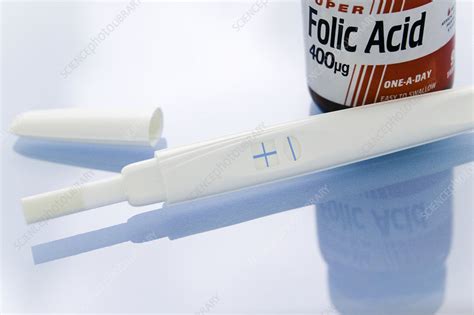 Folic acid in pregnancy - Stock Image - M627/0186 - Science Photo Library