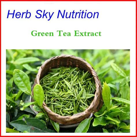 100% Pure green tea extract / Polyphenols/organic green tea extract-in ...