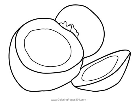 Coconut 1 Coloring Page For Kids Free Coconut Printable Coloring