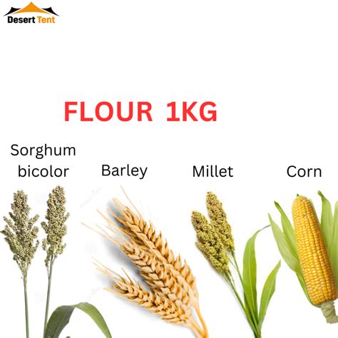 Flour Tepung Sorghum bicolor Yemani Barley Millet Corn 1KG ذرة