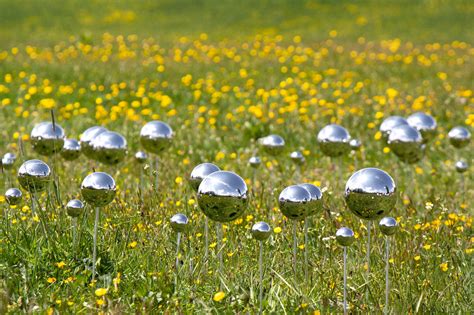 Fairy Ring