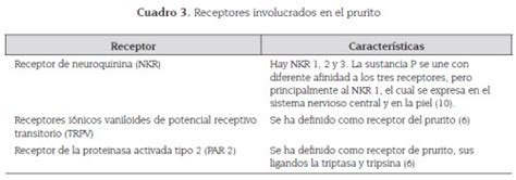 Prurito Parte I Fisiopatología Y Enfermedades Asociadas