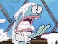 11 Nude Memes Ideas Memes Funny Reaction Pictures Funny Profile Pictures