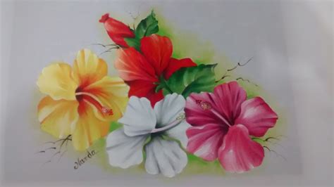 Nanda Rocha Hibiscos Pintura Em Oxford