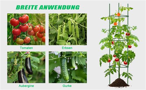 SUNYRISY Tomate Rankhilfe im Set Pflanzenhalter für Tomate Rankhilfen