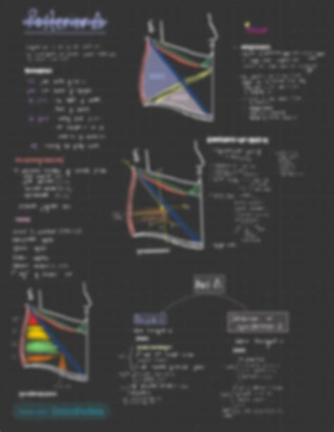 Solution Triangles Of Neck Anatomy Studypool
