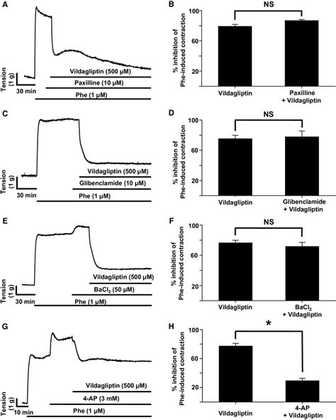 Effects Of Vascular K Channel Inhibitors On Vildagliptin Induced