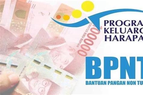 Perhatian Golongan Ini Gagal Dapat Bansos Bpnt Cair Rp Juta