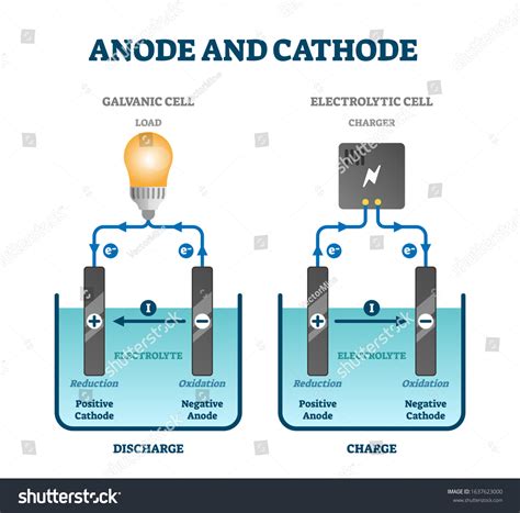 4,193 Anode Cathode Images, Stock Photos & Vectors | Shutterstock