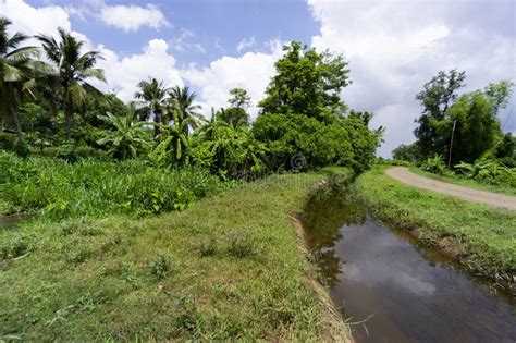 Canales De Riego Y Acueductos Utilizados Para El Transporte De Agua En