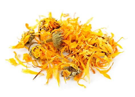 Calendula Extract All Ingredients Plus