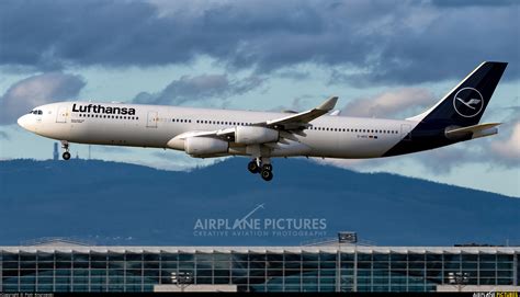 D AIFC Lufthansa Airbus A340 300 At Frankfurt Photo ID 1581378