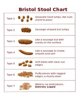 Undigested Food in the Stool