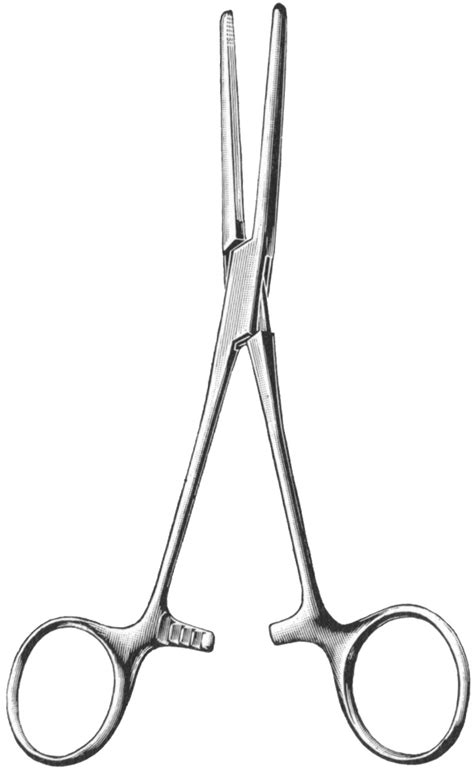 Rochester Carmalt Forceps 6 14 Curved Gsource