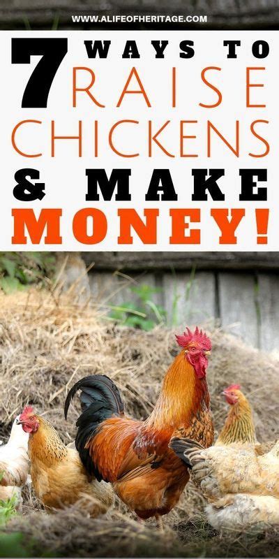 7 Ways To Make Money With Chickens