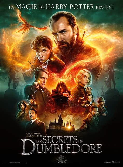 Les Animaux Fantastiques Les Secrets De Dumbledore En Blu Ray Les