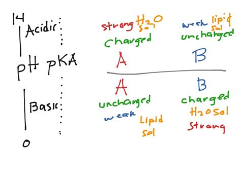 PH And PKa Relationship