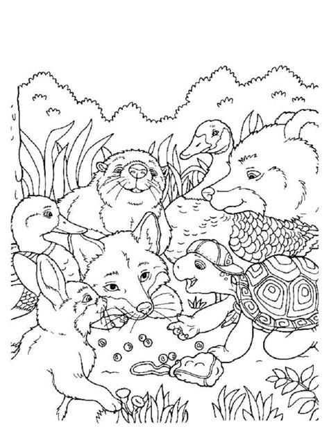 Wildlife Coloring Pages For Adults Check More At Coloringareas