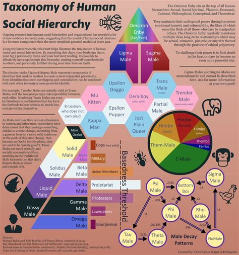 Male Archetypes And The Socio Sexual Hierarchy Forums