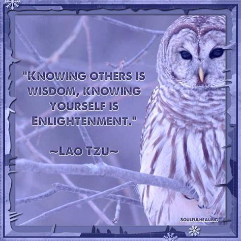 Love Owl Quotes Quotesgram