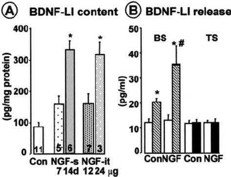 intraplantar injection  capsaicin induces bursting discharge