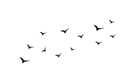 Black Birds Vector Birds Flying Birds Birds Vector Png And Vector