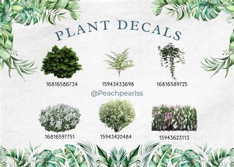 Plant Decals In Bloxburg Decals Codes Decals Wall Decals