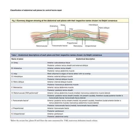 Transversalis Fascia Defects