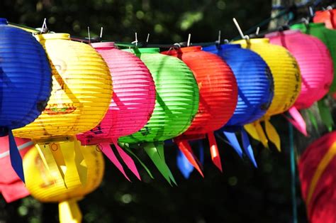 300 Free Lampion Nature Images Pixabay