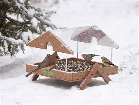 Buy The Duncraft Clearview Roof Ground Platform Bird Feeder At Duncraft