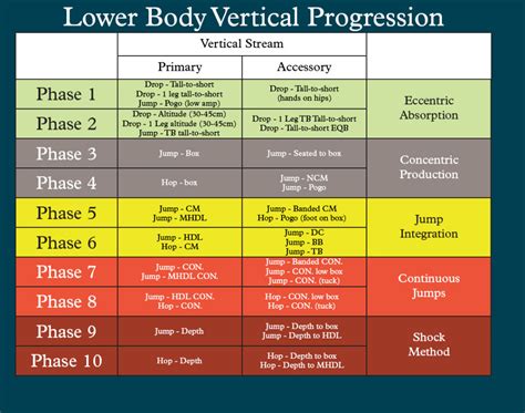 Sports Development Continuum Examples The Sports Development