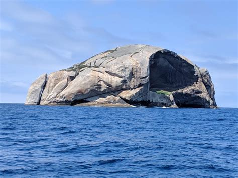 Cleft Island Skull Rock Good Times Tours