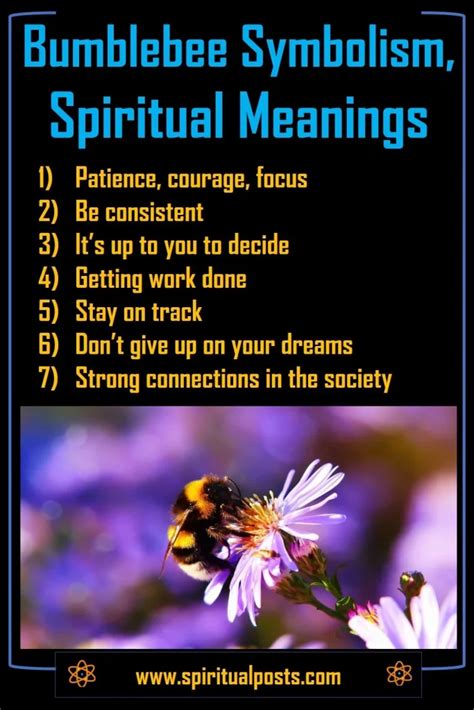 8 Spiritual Meanings Of Seeing A Bumblebee Symbolism Spiritual Posts