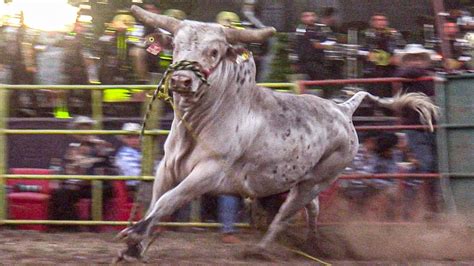 Toros Que Imponen Miedo En El Ruedo Rancho El Palmar En Meza De