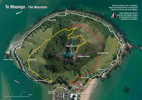Mount Maungauni Summit Track