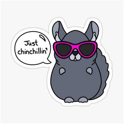 Just Chinchillin Sticker For Sale By Kirstykartoons Redbubble