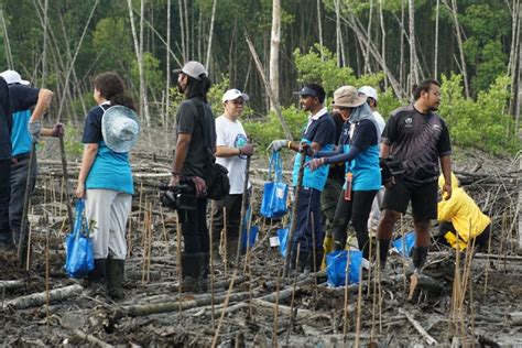 Semua Pihak Perlu Bekerjasama Lindungi Hutan Paya Bakau Nasional