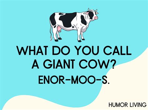 Funny Cow Jokes Youll Find A Moo Sing Humor Living