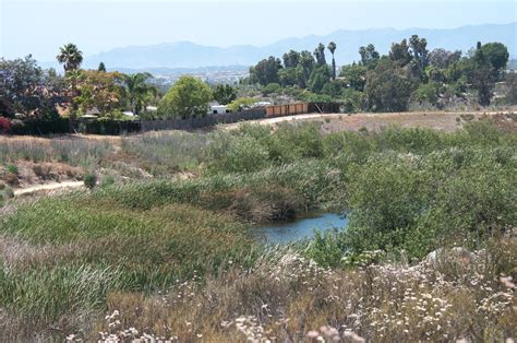 Hiking Guajome County Park in Oceanside - Hiking San Diego County