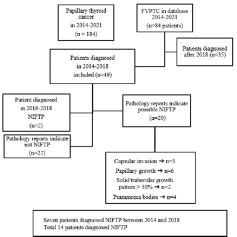 Patient Selection Diagram Fvptc Follicular Variant Of Papillary