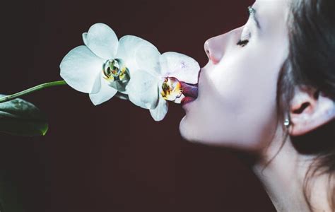 Premium Photo Sexy Girl Lick Orchid Flower Orchids Oral Tongue Sensual Young Woman Suck Floral