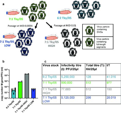 Virus Stocks Grown At Different Mois Contain Different Amounts Of Download Scientific Diagram