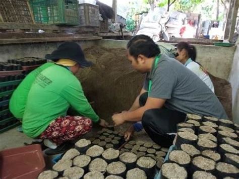 Gambar Pendampingan Pengelolaan Limbah Baglog Jamur Tiram A