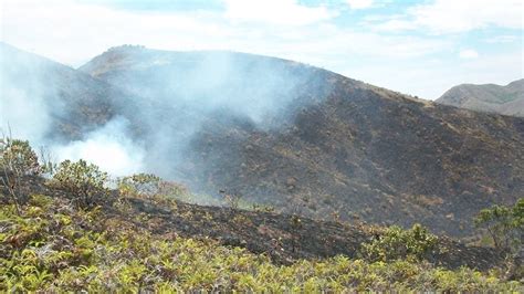 EL MEDIO AMBIENTE CUIDADO CON LAS QUEMAS