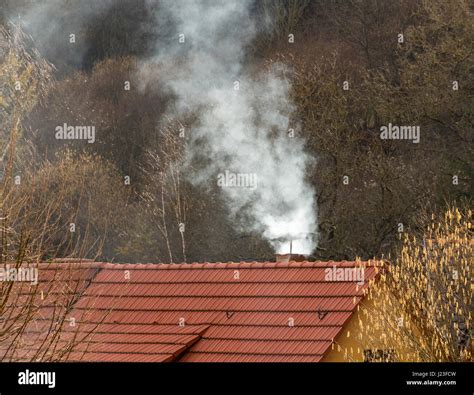 Rauchende Schornstein Mit Dach Im Naturwald Ambiente Stockfotografie