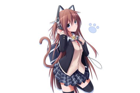 Anime Neko Wallpapers 61 Images