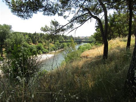 Moraca River With View Of Gazela Bridge In Podgorica Montenegro Sunny