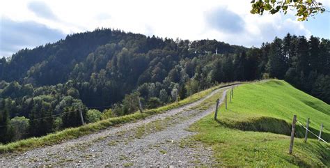 Wanderung Gfell Sternenberg Hörnli Steg im Tösstal WegWandern ch