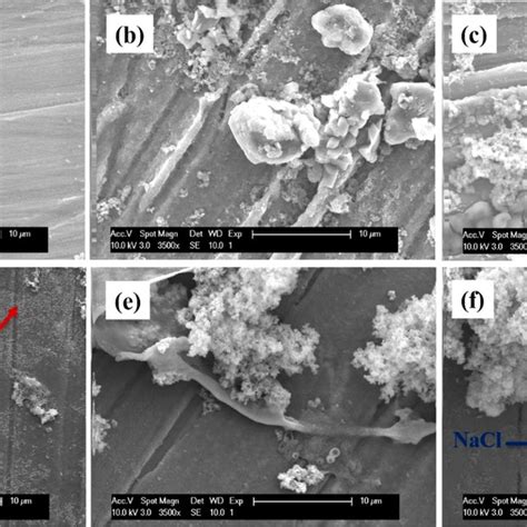 Sem Micrographs Of Mg−si−sr Alloy Samples A Without And B−f With